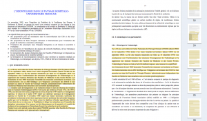 À gauche, le Livre blanc de la recherche médicale en odontologie (sept. 2005). À droite, la thèse de Christine Marchal-Sixou (déc. 2006). Colonnes à droite : miniatures des pages similaires (surlignages en jaune des textes plagiés).